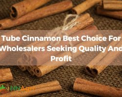 tube-cinnamon-best-choice-for-wholesalers-seeking-quality-and-profit