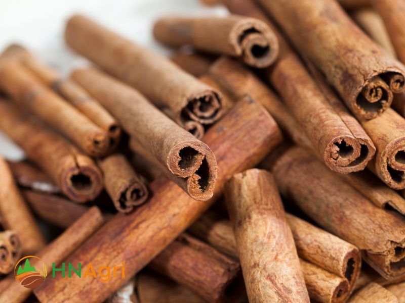 tube-cinnamon-best-choice-for-wholesalers-seeking-quality-and-profit-2