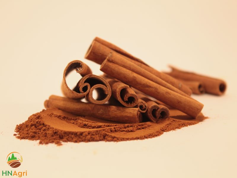 the-best-vietnamese-cinnamon-exporter-is-hanoi-cinnamon-brand-2
