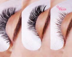unleash-your-lash-potential-with-korean-pbt-extensions-from-vin-lash-brand-1