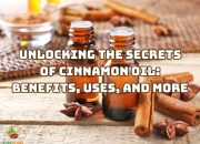 unlocking-the-secrets-of-cinnamon-oil-benefits-uses-and-more